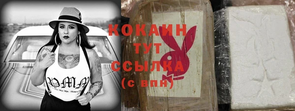 молекула духа Богданович