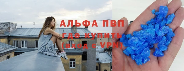 молекула духа Богданович