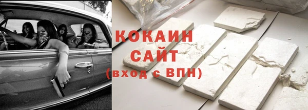 сатива Весьегонск