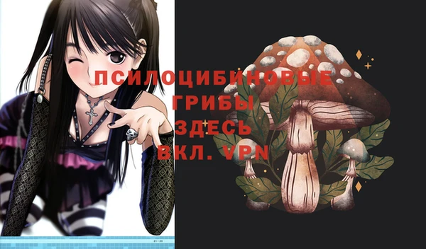 сатива Весьегонск